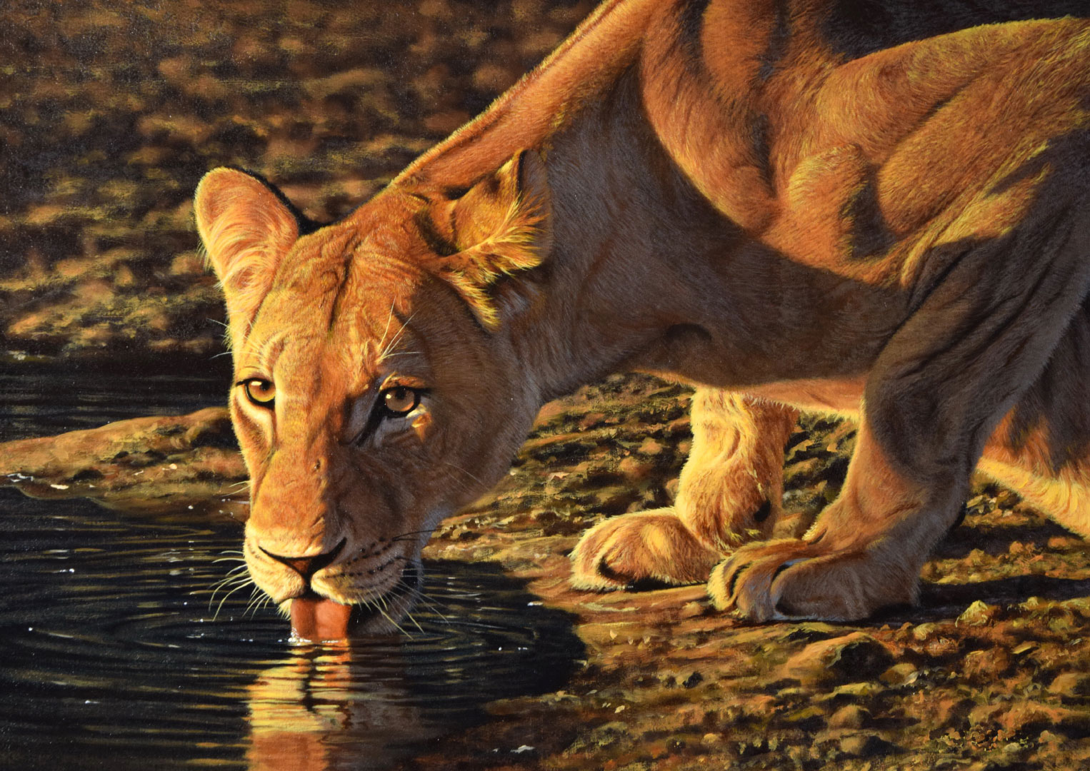 STEVE BURGESS (1960-), SUNDOWNER