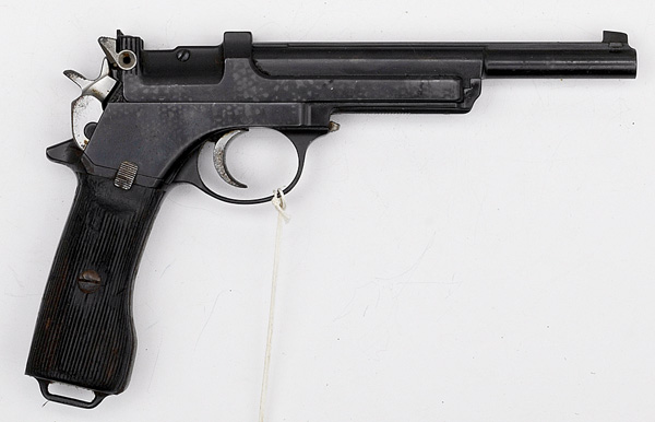 *Steyr Mannlicher Argentine Model