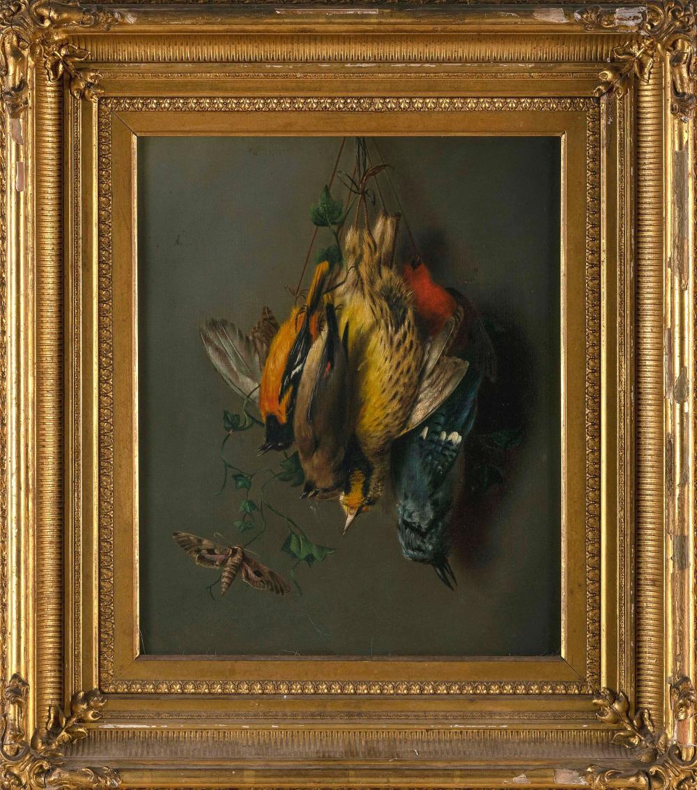 STILL LIFE OF HANGING SONGBIRDS