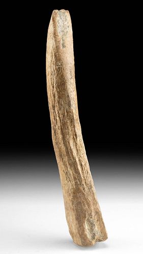STONE AGE MESOLITHIC EUROPEAN