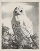 STOW WENGENROTH, AMERICAN (190