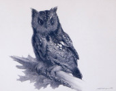 STOW WENGENROTH (NEW YORK / MA