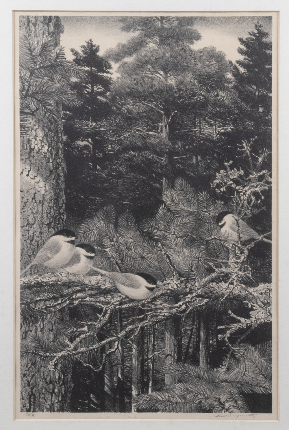 STOW WENGENROTH (NY/MA,