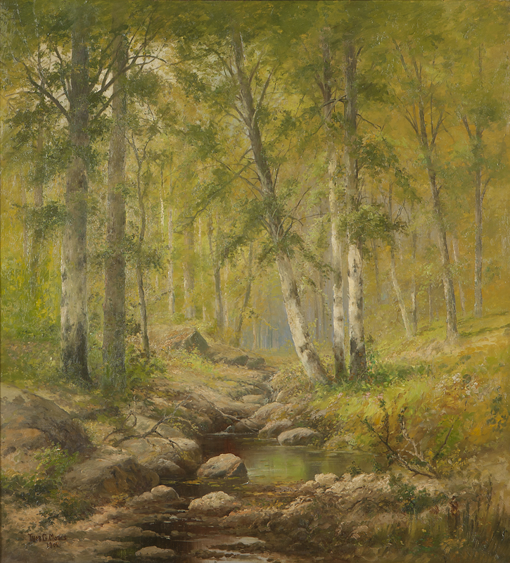 Stream through forest interior