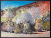 STRIFFOLINO "TREES IN EL RITO
