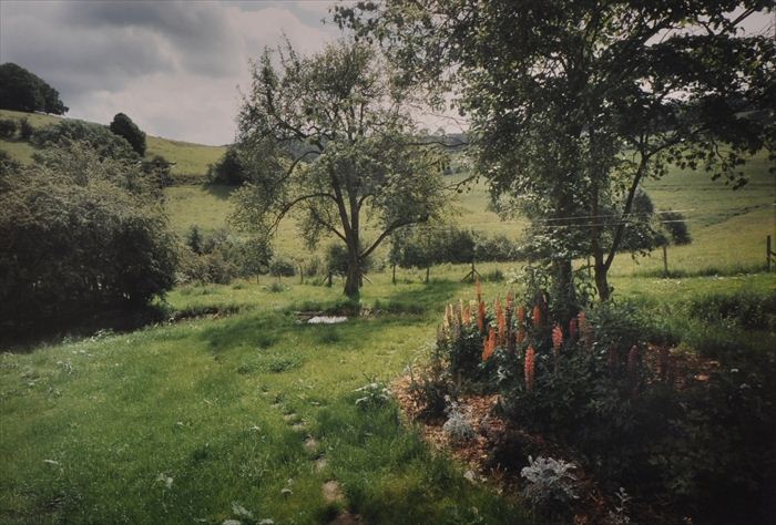 STUART KLIPPER (b. 1941): LUPINE