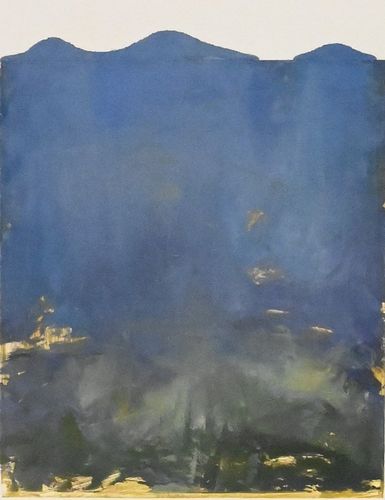 STUART SHILS (AMERICAN B.