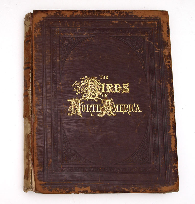 STUDER Jacob H. (1840-1904):