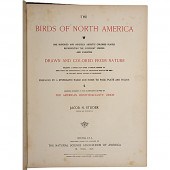 Studer's Birds of North Americ