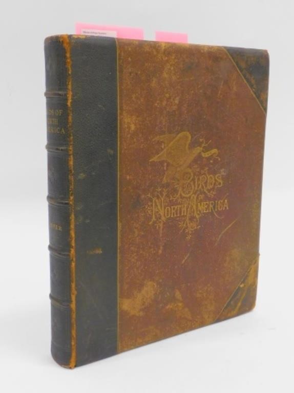"STUDER'S POPULAR ORNITHOLOGY THE