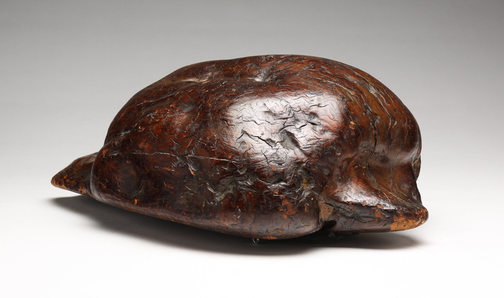STYLIZED BURL KNOT TURTLE.