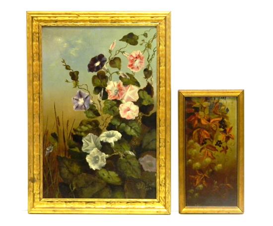 Subject study of morning glories 