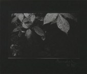 SUDEK, JOSEF (1896-1976) Untit