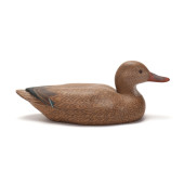 SUE FULCHER (NC), HEN MALLARD<