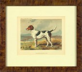 Suite of Four Chromolithograph