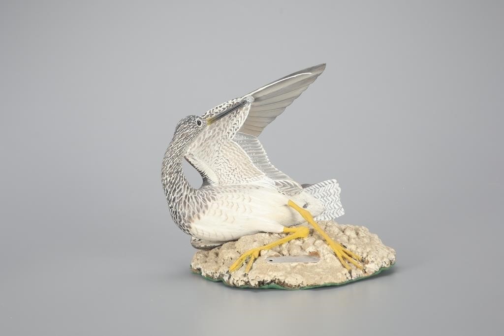 "SUNBATHING" YELLOWLEGS IN FOUR