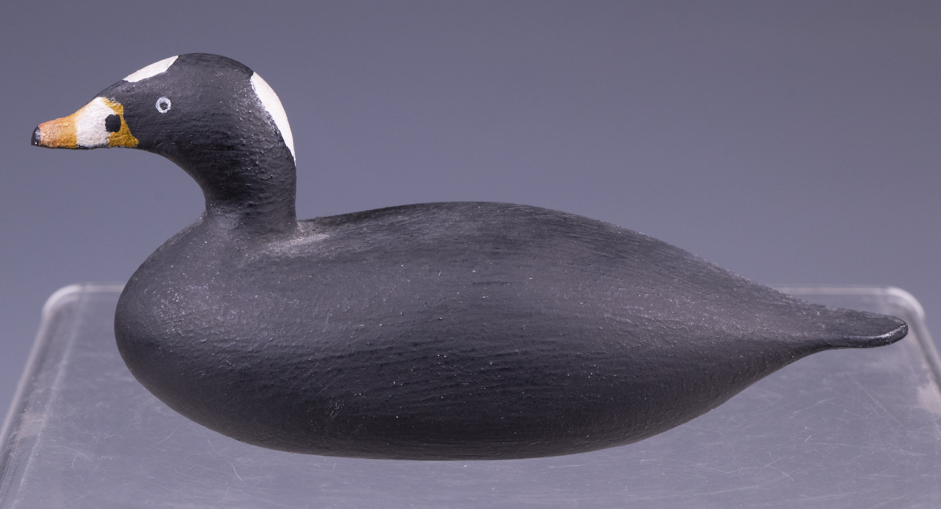 SURF SCOTER BY JOSEPH LINCOLN