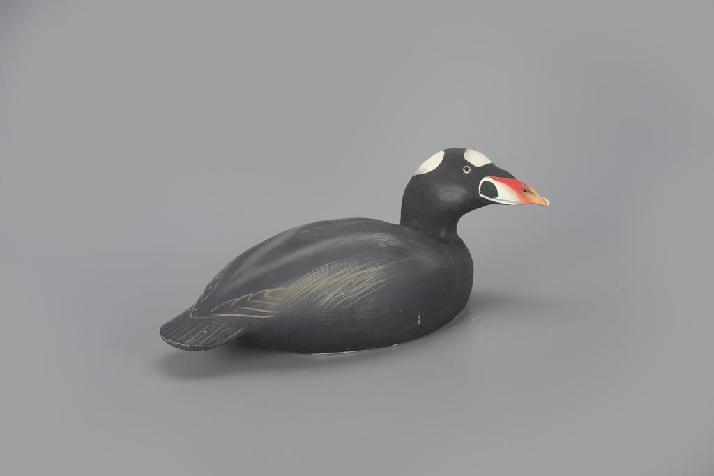 SURF SCOTERThe Ward Brothers Lemuel