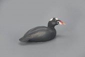 SURF SCOTERThe Ward Brothers
L