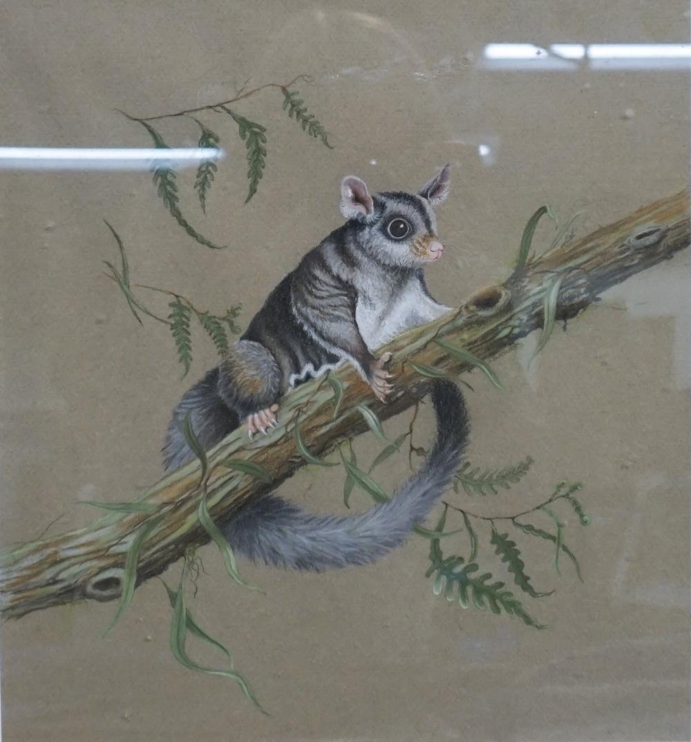 SUSAN K BLACKWOOD (AUSTRALIAN, 20TH
