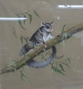SUSAN K BLACKWOOD (AUSTRALIAN,