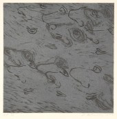 SUSAN ROTHENBERG, THE AUDIENCE