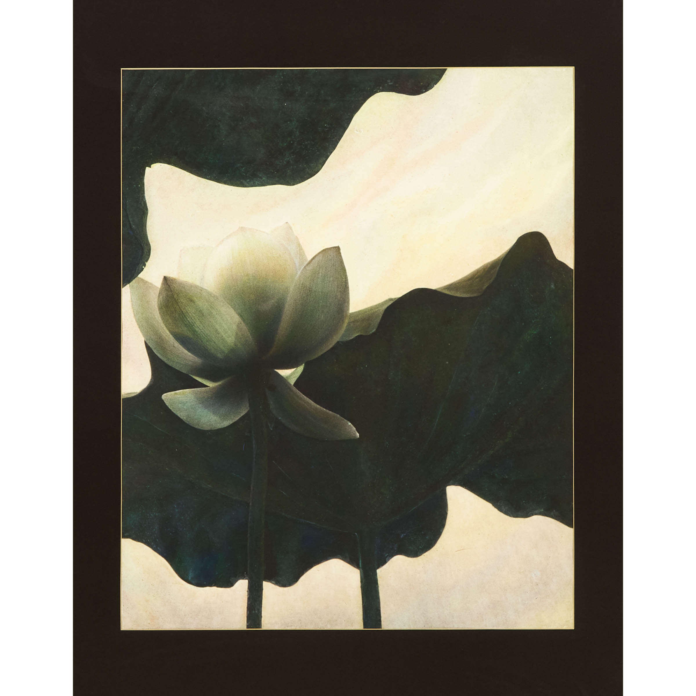 Susuko (Suzuko) Eda (B. 1936),