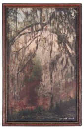 SUWANNEE RIVER, HAND COLORED P