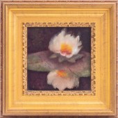 SUZANNE DOUGLASS 'WATER LILY'