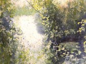 Suzanne Howes - Stevens  water