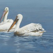 Suzie Seerey-Lester
(American,