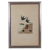 SWALLOW BIRD ENGRAVING AFTER J