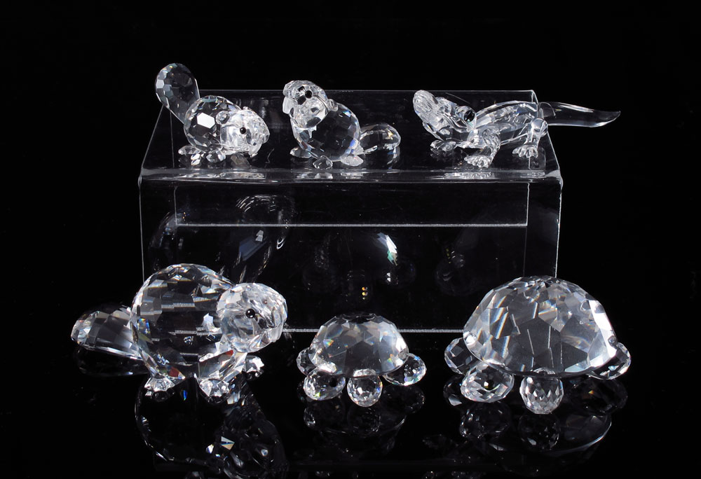 SWAROVSKI CRYSTAL 6 ENDANGERED