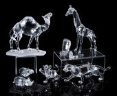 SWAROVSKI CRYSTAL 7 AFRICAN WI