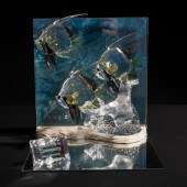 Swarovski Crystal Wonders of t