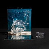Swarovski Crystal Wonders of t