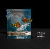 Swarovski Crystal Wonders of t