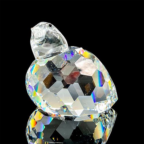 SWAROVSKI"â„¢S SILVER CRYSTAL