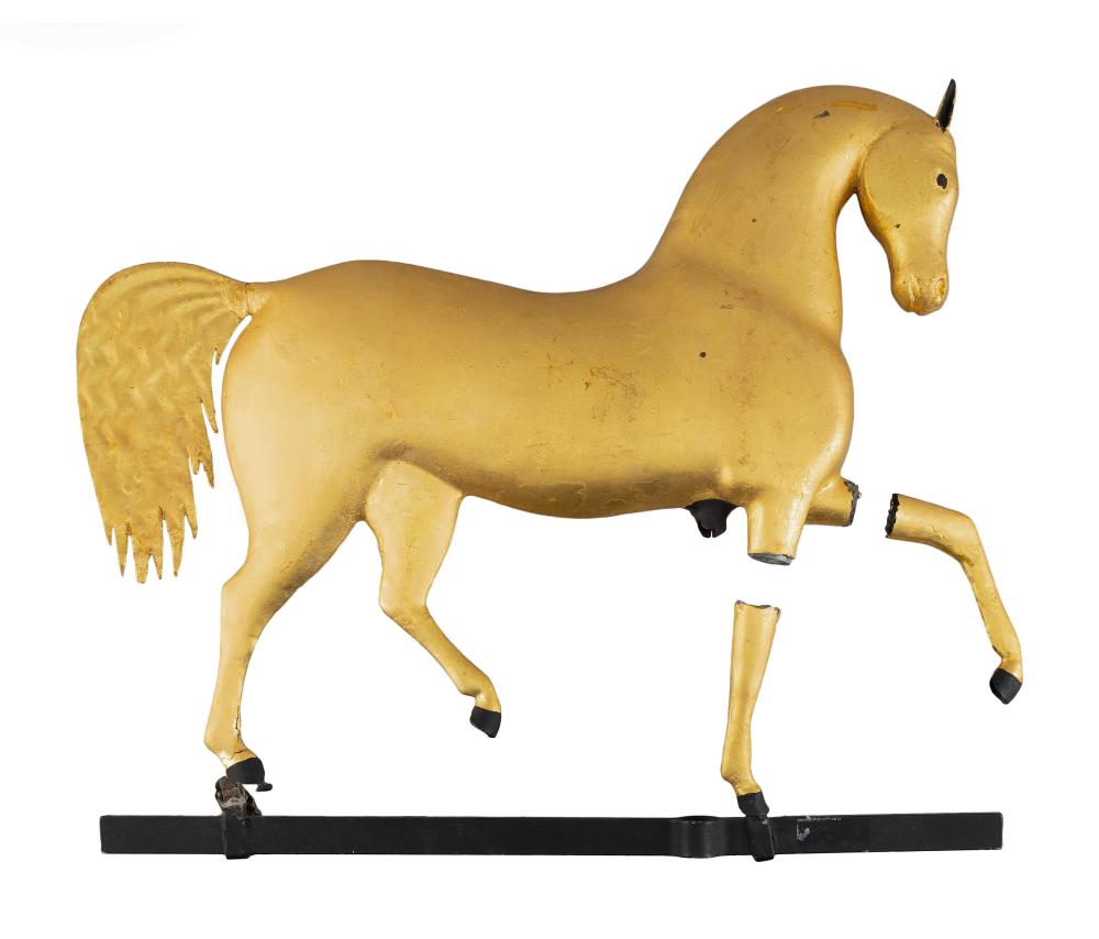 SWELL-BODIED BLACK HAWK RUNNING