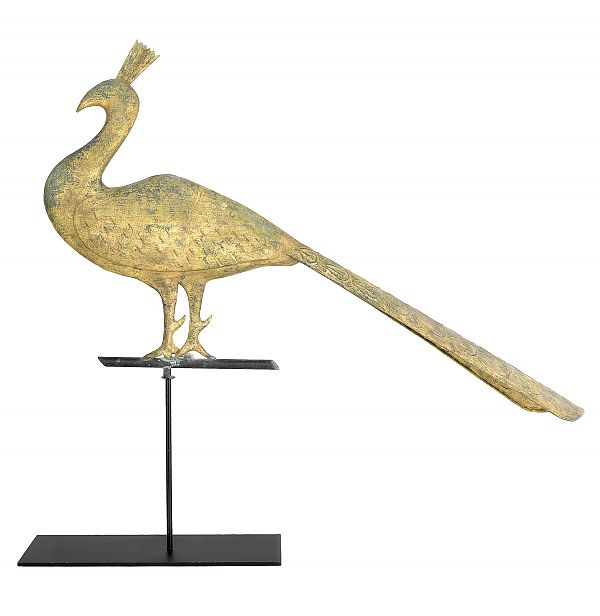 Swell-bodied copper peacock