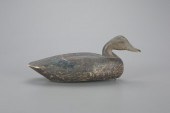 SWIMMING BLACK DUCKDelbert Hud
