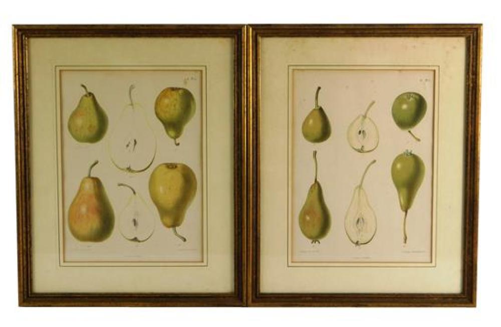 SYBOLT BERGHUIS (DUTCH, 1820 -
