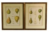 SYBOLT BERGHUIS (DUTCH, 1820 -
