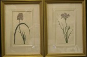 Sydenham Teast Edwards (Britis
