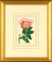 Sydenham Teast Edwards (Britis