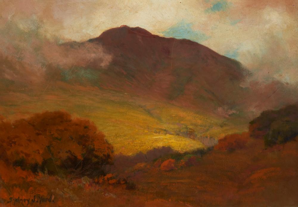 SYDNEY JANIS YARD (1855-1909),