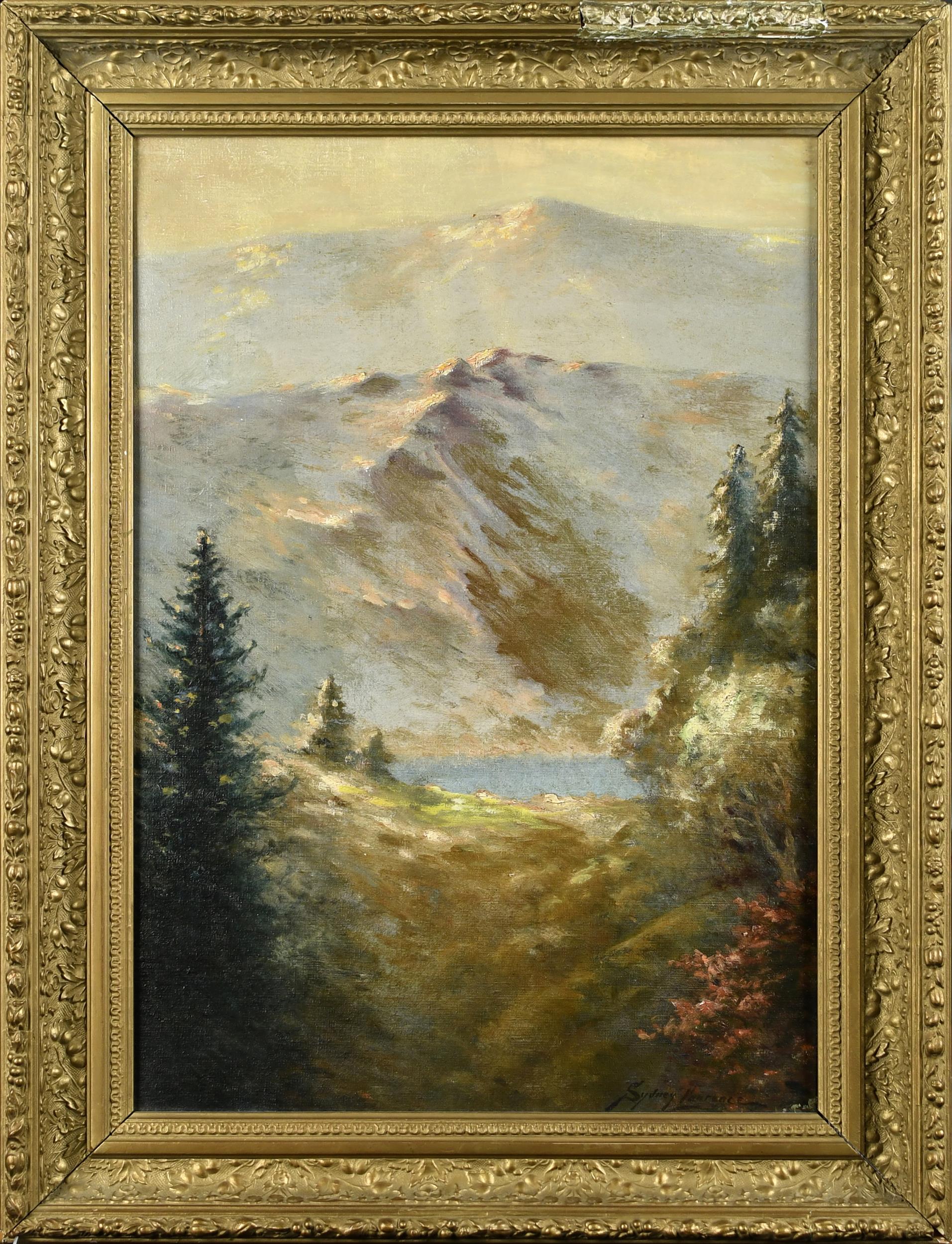 SYDNEY M. LAURENCE O/C, MOUNTAINOUS
