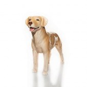 SYLVAC CERAMICS YELLOW LABRADO