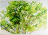 SYLVIA PLIMACK MANGOLD (AMERIC