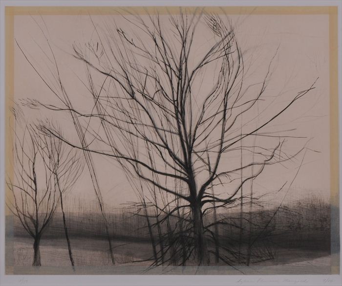 SYLVIA PLIMACK MANGOLD (b. 1938):